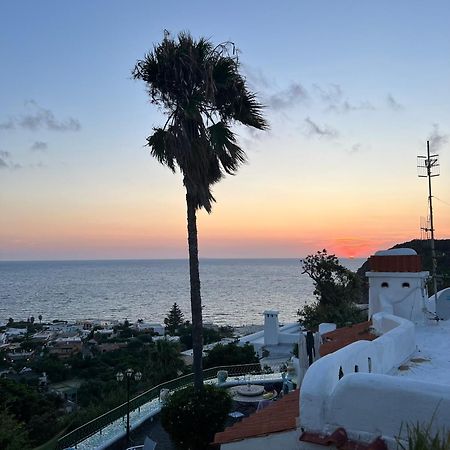 Blu Panorama Bed and Breakfast Forio di Ischia Exteriör bild