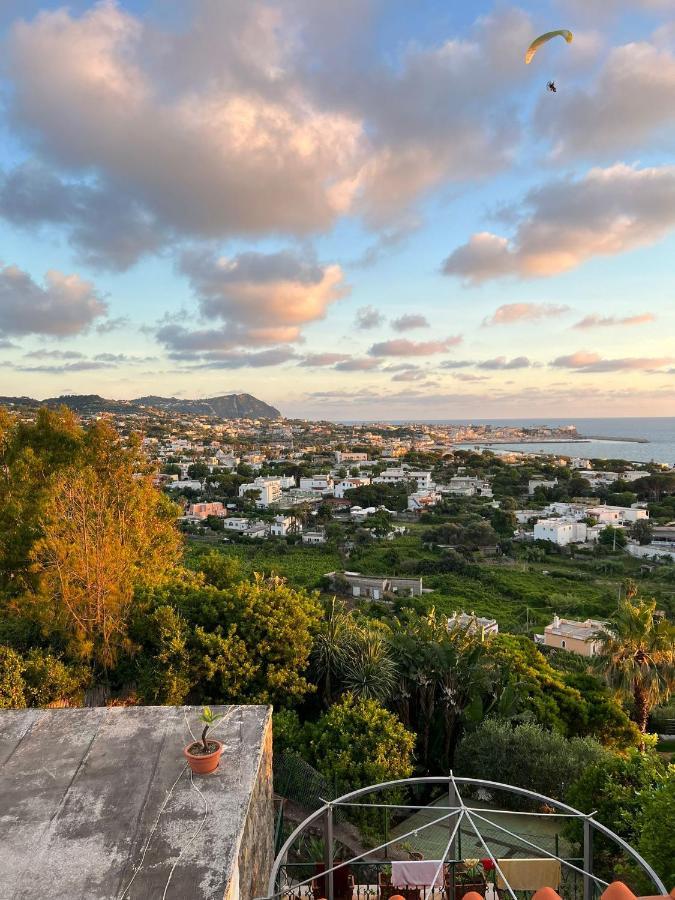 Blu Panorama Bed and Breakfast Forio di Ischia Exteriör bild