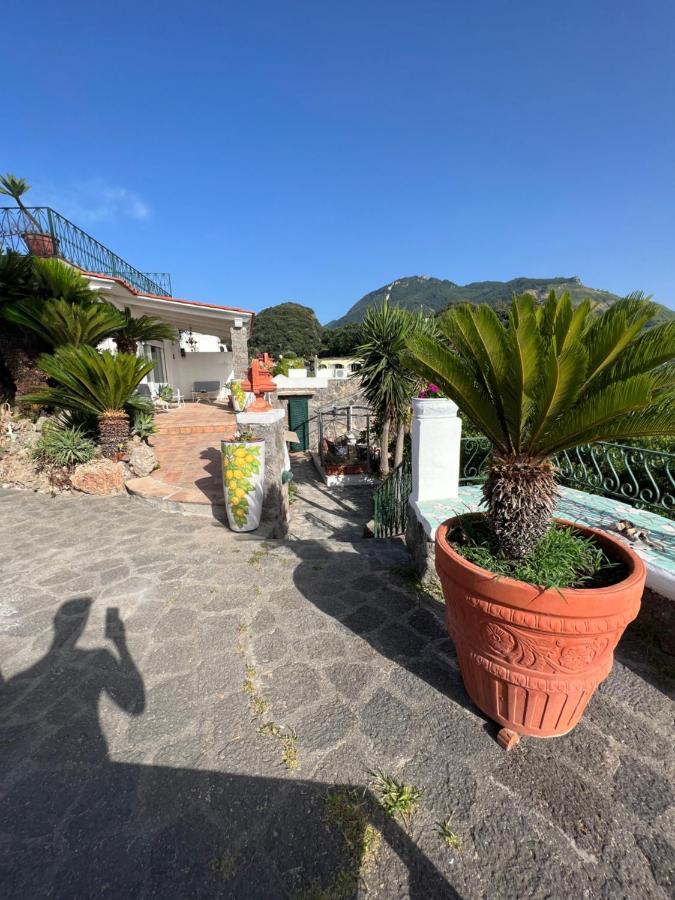 Blu Panorama Bed and Breakfast Forio di Ischia Exteriör bild