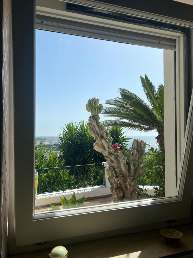 Blu Panorama Bed and Breakfast Forio di Ischia Exteriör bild