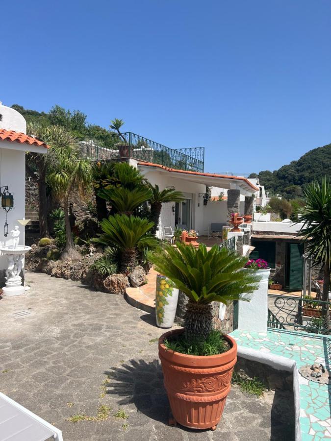 Blu Panorama Bed and Breakfast Forio di Ischia Exteriör bild