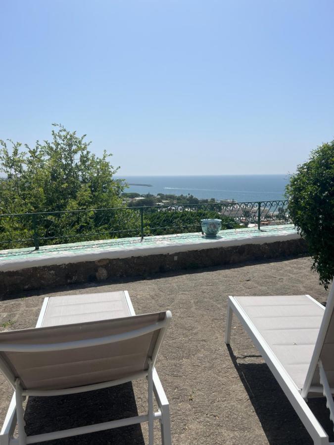 Blu Panorama Bed and Breakfast Forio di Ischia Exteriör bild